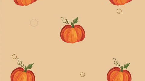Pumpkins vegetables autumn pattern Stock Footage 201904316