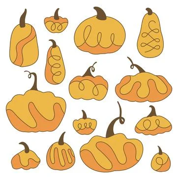 Pumpkins vegetables with monograms and curls Stock Illustration