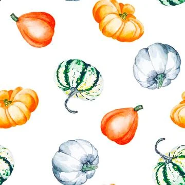 Pumpkins. Watercolor pattern of bright pumpkins. Illustration with vegetables. Stock Illustration