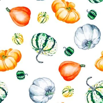 Pumpkins. Watercolor pattern of bright pumpkins. Illustration with vegetables. Stock Illustration