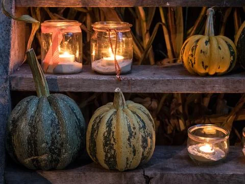 Pumpkins in westphalia Foto stock