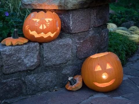 Pumpkins in westphalia 写真素材