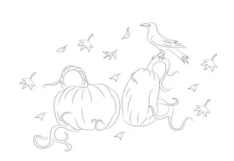 Pumpkins on which the crow sits on halloween, lines, vector Stock Illustration