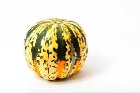 Pumpkins before white background Stock Photos