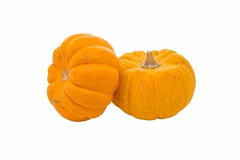 Pumpkins on white background Stock Photos