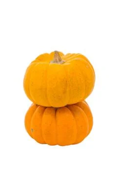 Pumpkins on white background Stock Photos