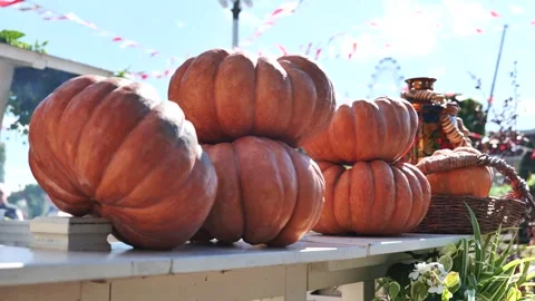 Pumpkins on white table decorating an autumn market with festive bunting Stock-Footage 348212612