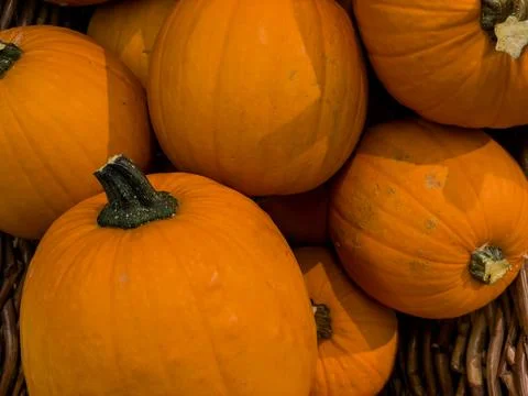 Pumpkins in a wicker basket. Stock Photos