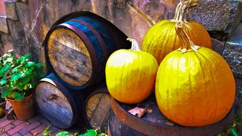 Pumpkins On A Wine Barrel Foto stock