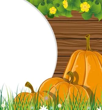 Pumpkins on the wooden background Stock Illustration