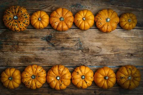 Pumpkins on a wooden rustic background. Yellow autumn harvest pumpkins on the Stock Photos