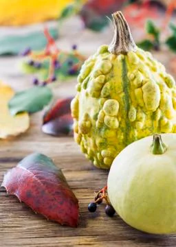Pumpkins on wooden table Stock Photos