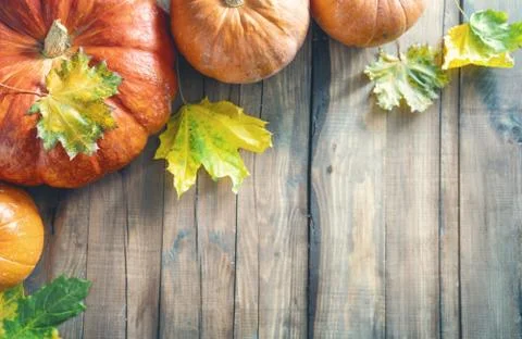 Pumpkins on wooden table. Stock Photos