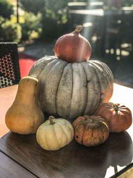 Pumpkins on the wooden table Stock Photos