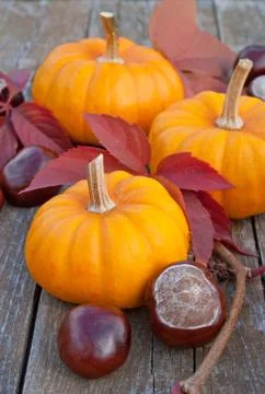 Pumpkins&amp;chestnuts Stock Photos