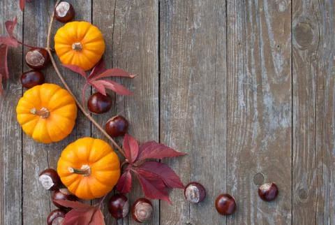 Pumpkins&amp;chestnuts Stock Photos