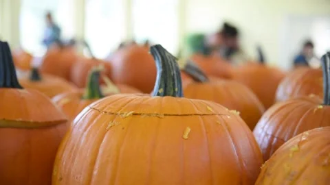 PumpkinsHD 02 Video stock 168364556