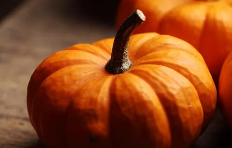 Pumpkis close-up Stock Photos
