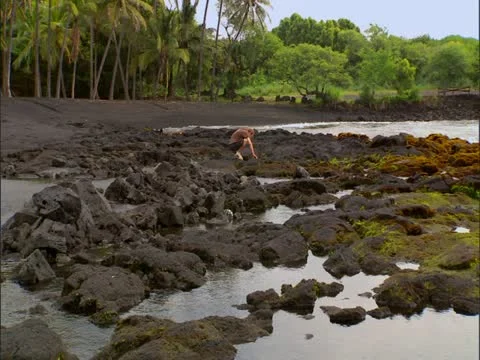 Punaluu Black Sand Beach Stock Footage 22242853