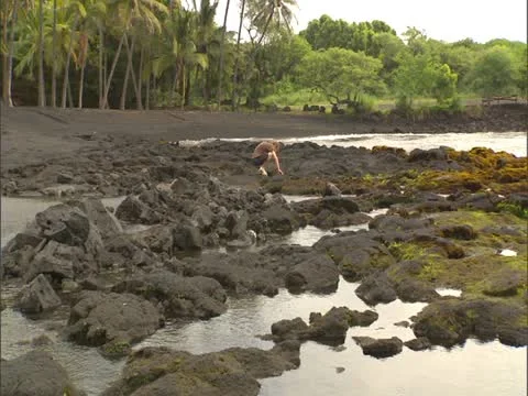 Punaluu Black Sand Beach 스톡 동영상 22243440