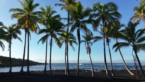 Punaluu Black Sand Beach, Punaluu, Ka'u, Island of Hawaii Stock Footage 327494349