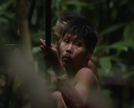 Punans go hunting Stock Footage 36446406