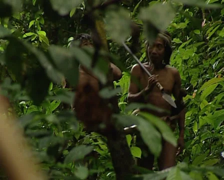 Punans go hunting Stock Footage 36458900