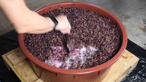 PunchDown Video stock 97526177