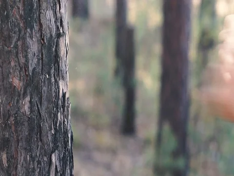 Punches Stock Footage 129901365