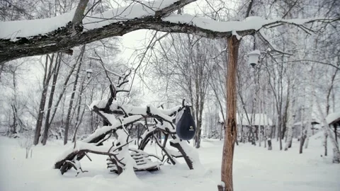 Punching bag hanging from a tree in the forest during the day in winter Stock Footage 231808643