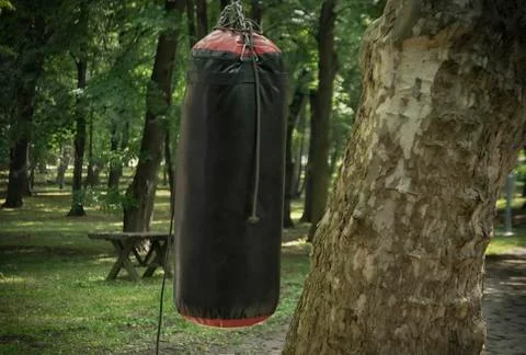 A Punching Bag Stock Photos
