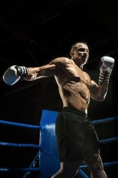Punching boxer on boxing ring Stock Photos