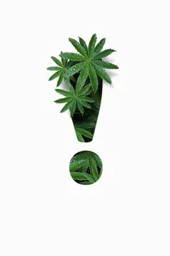 Punctuation marks are exclamation marks isolated on a white background. Stock Illustration