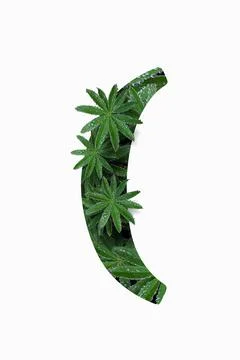 Punctuation marks are the left parenthesis isolated on a white background. Stock Illustration