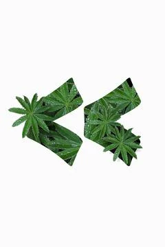 Punctuation marks are quotation marks isolated on a white background. Stock Illustration