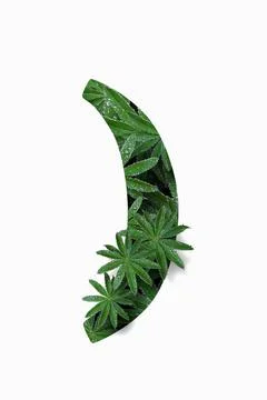 Punctuation marks are the right parenthesis isolated on a white background. Stock Illustration