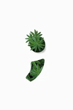 Punctuation marks are semicolons isolated on a white background. Stock Illustration