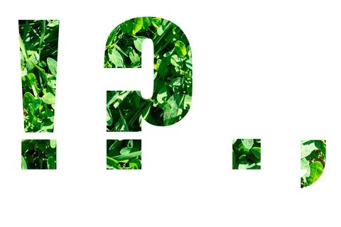 Punctuation marks exclamation mark, question mark, period, comma from green g Stock Photos