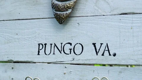 Pungo Virginia Stock Footage 79212130