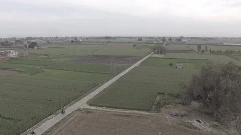 Punjab Field Flyover Stock Footage 227734007