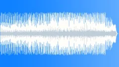 Punjabi nights Stock Music