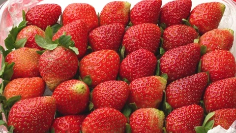 A Punnet of Fresh Ripe Strawberries, Top-Down View. Stock Footage 318515744