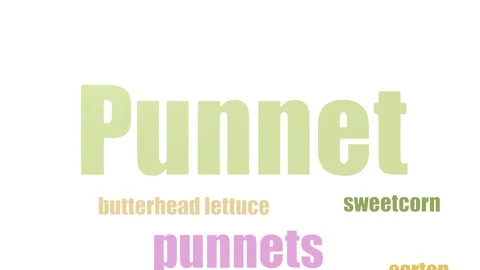 Punnet Word Cloud Animated Isolated Stock Footage 107235621