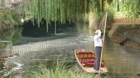 Punt Video stock 11013112