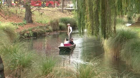 Punt Video stock 11014048