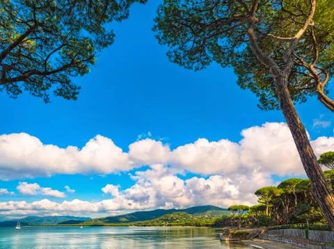 Punta Ala, Pine tree group, beach and sea bay. Tuscany, Italy Stock Photos