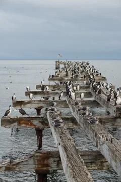 Punta Arenas Stock Photos