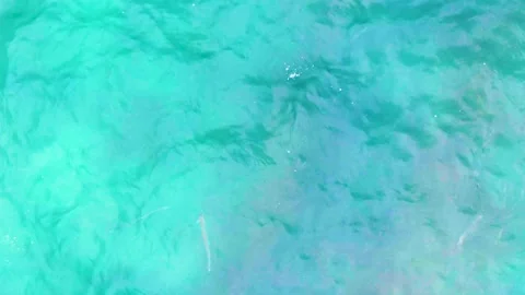 PUNTA BUZZARDS EAST CAPE BCS MEXICO-2022: A Person Standing On A Surfboard In Video stock 237635358