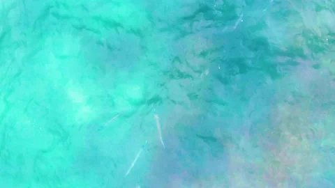 PUNTA BUZZARDS EAST CAPE BCS MEXICO-2022: A Person Standing On A Surfboard In Video stock 237635387