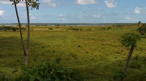 PUNTA CANA 001 Video stock 1039584